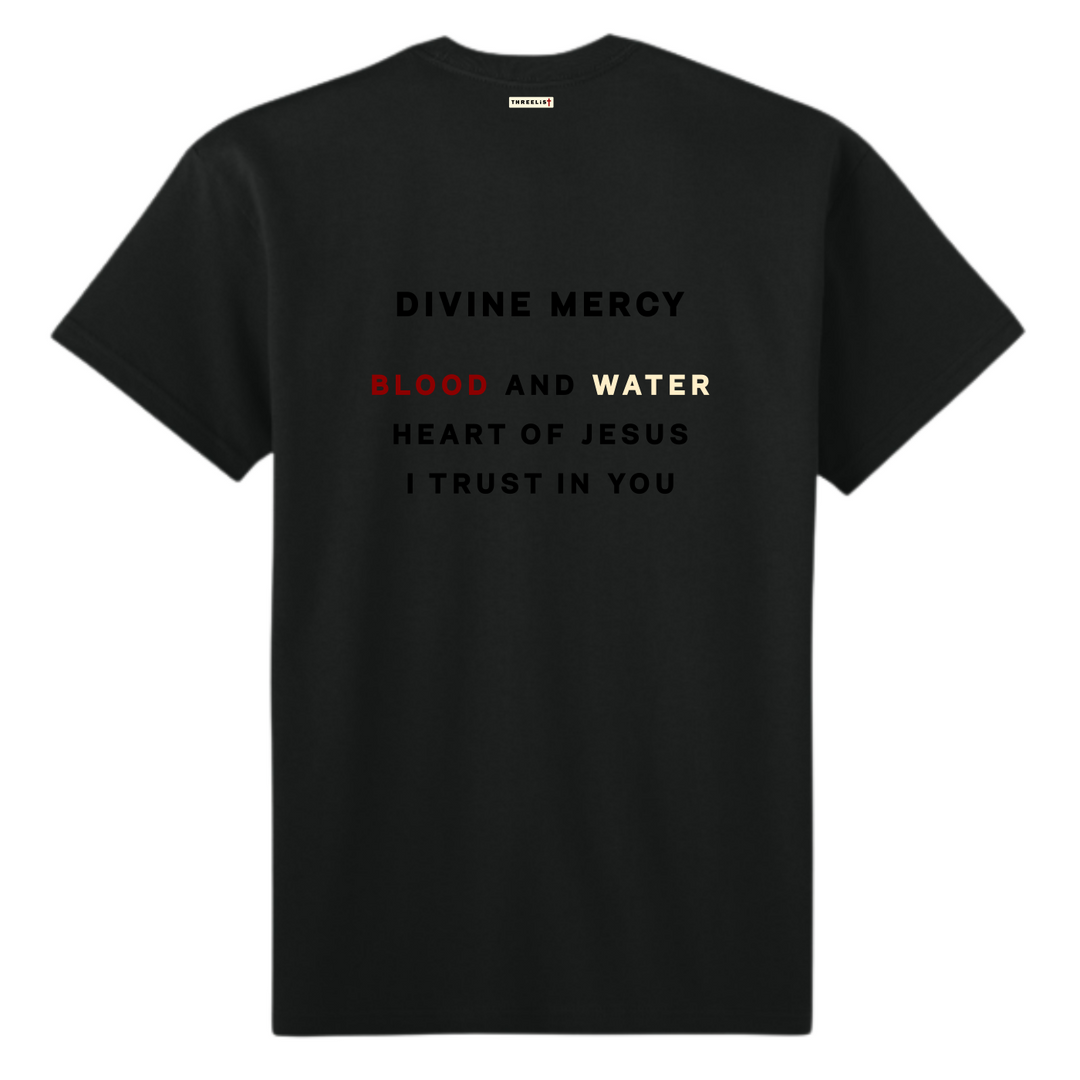Men's Divine Mercy T-Shirt